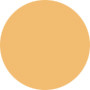 Estee Lauder  Re Nutriv All Day Lipstick - All Day Sunburst