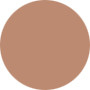 Estee Lauder  Pure Color Gloss - No.04 Cider