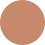 Estee Lauder  Pure Color Gloss - No.15 Ginger Glaze