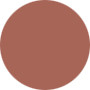 Lancome  Juicy Rouge Lasting Juicy Shine Lipcolor – No.231 Caramel