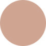 Estee Lauder  Pure Color Crystal Gloss - No.349 Golden Nude
