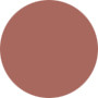 Estee Lauder  Pure Color Crystal Gloss - No.365 Copperlight