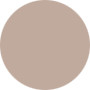 Estee Lauder  Pure Color Gloss - No.41 Pure Platinum