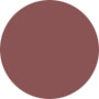 Estee Lauder  Pure Color Gloss - No.45 Hot Bronze