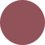 Estee Lauder  Pure Color Gloss - No.46 Hot Iron