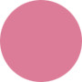 Estee Lauder  Pure Color Gloss - No.48 Gunmetal Rose