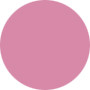 Estee Lauder  Pure Color Gloss - No.49 Metallic Lilac