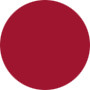 Estee Lauder  Pure Color Lip Vinyl Gloss W/Stick - No.501 Vinyl Berry