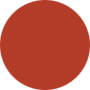 Estee Lauder  Pure Color Lip Vinyl Gloss W/Stick - No.509 Copper Fantasy