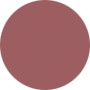 Estee Lauder  Pure Color Cool Gloss - No.806 Cool Cocoa