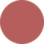 Christian Dior  Rouge Dior Lipcolor - No. 334 Amber Camera