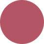 Christian Dior  Rouge Dior Lipcolor - No. 463 All Star Pink