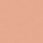 Shiseido Advanced Hydro Liquid Compact Foundation SPF15 - B20 Natural Light Beige