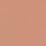 Shiseido Advanced Hydro Liquid Compact Foundation SPF15 - B60 Natural Deep Beige