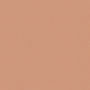 Shiseido Advanced Hydro Liquid Compact Foundation SPF15 - I60 Natural Deep Ivory