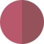 Yves Saint Laurent  Lip Twins ( Lip Duo Satin/Shine ) – No.07 Plum Harmony