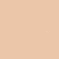 Max Factor Panstik - 13 Nouveau Beige