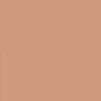 Max Factor Bronzing Powder - 02 Bronze