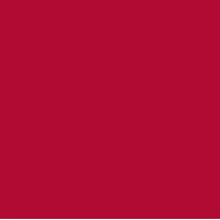 Max Factor Lasting Colour Collection - 820 Intensely Red